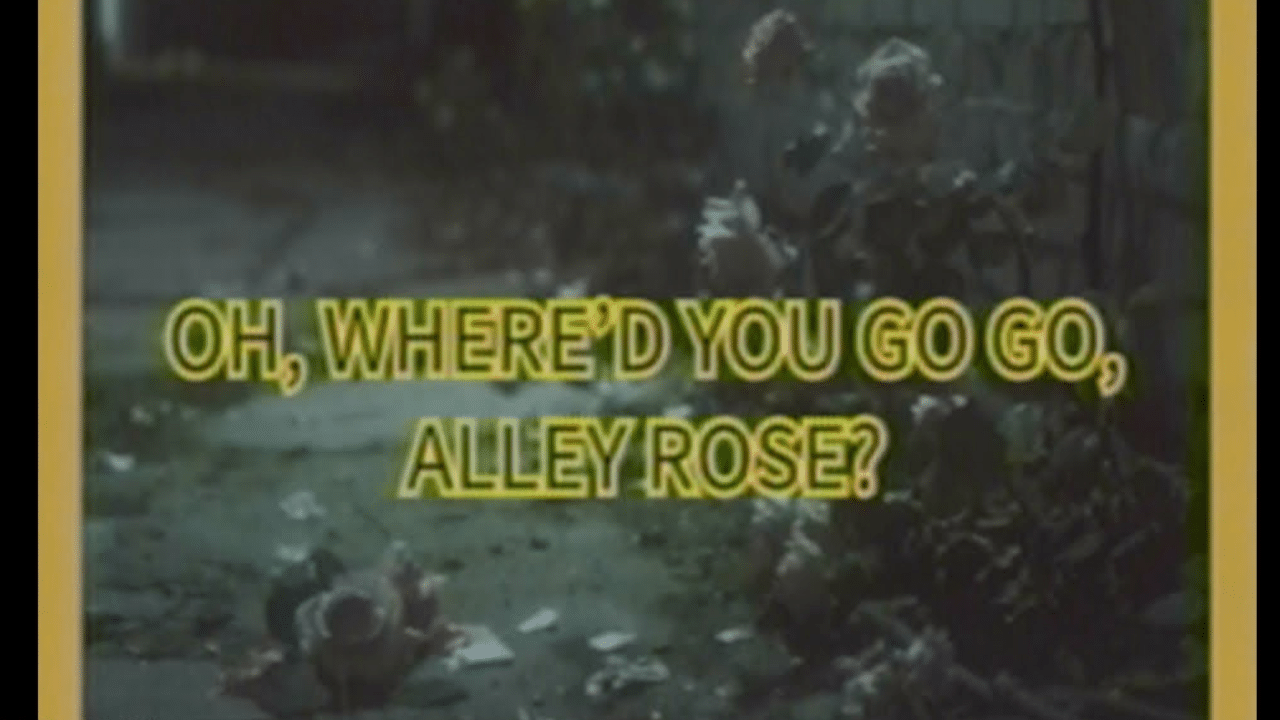 Alley Rose Song lyrics