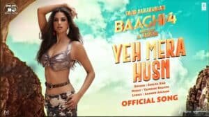 Yeh Mera Husn Lyrics