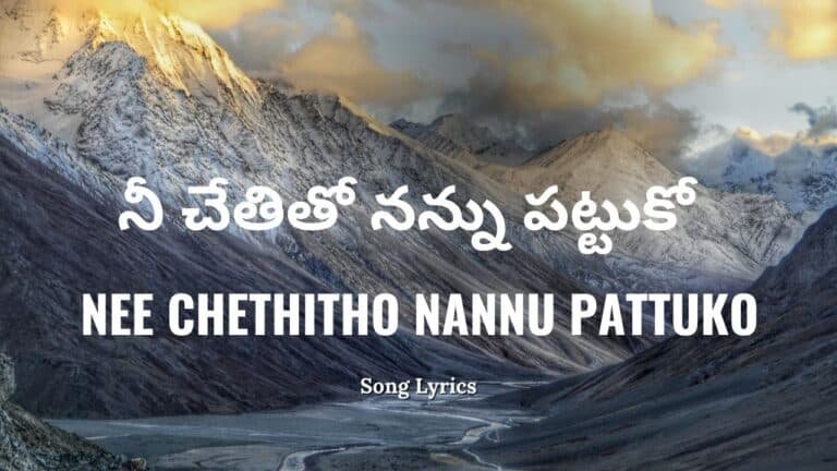 Nee Chethitho Nannu Pattuko Lyrics